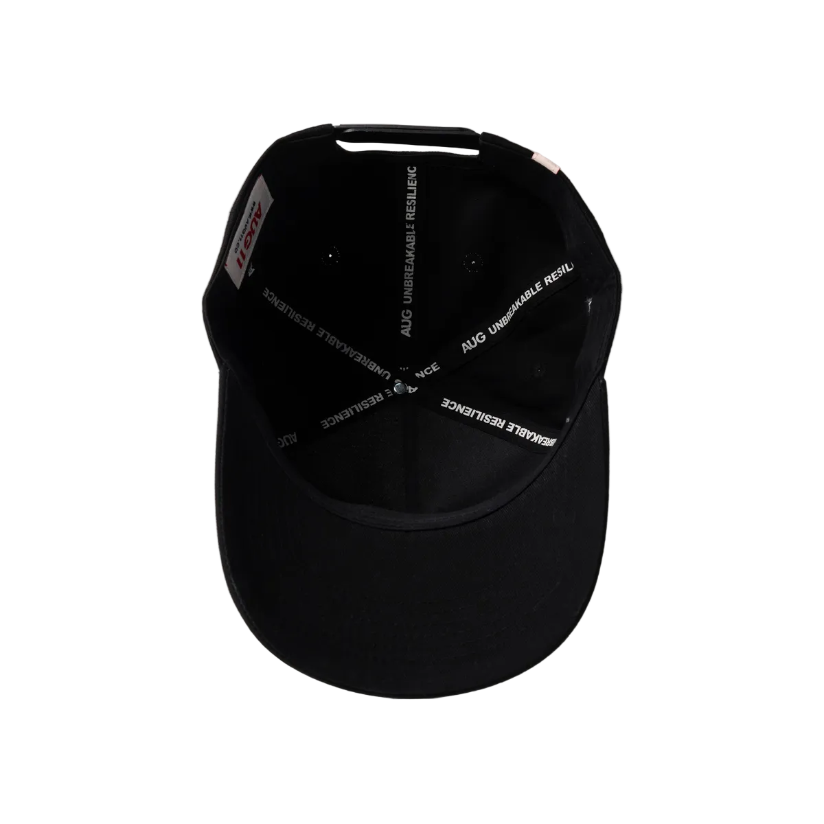 Aug 11 Champions Cup Snapback