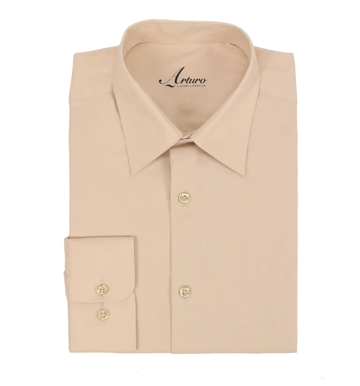 Arturo Modern Fit Big & Tall Dress Shirt