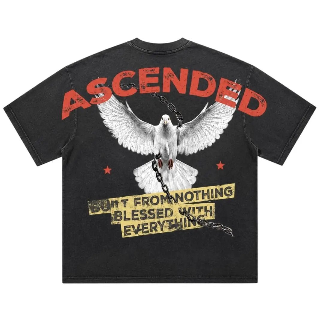 Divine Faded Boxy Tee