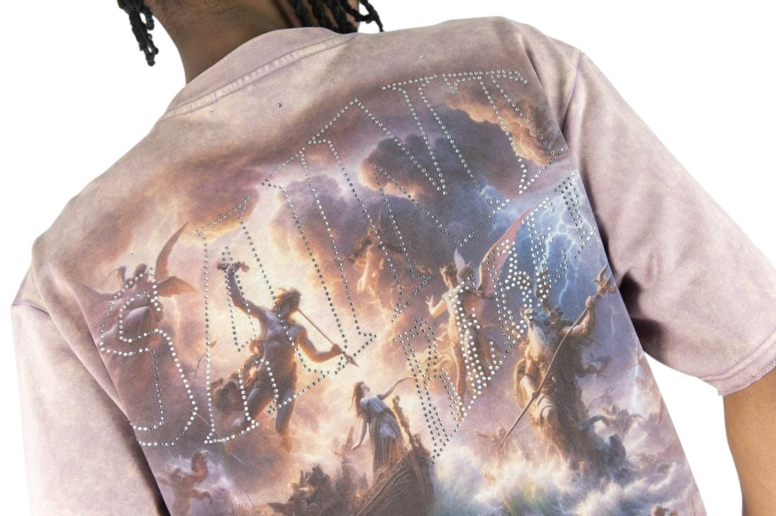 On Time Fashions Rebel Minds crop tee in mauve with a sinister rhinestone graphic and mythological art print.