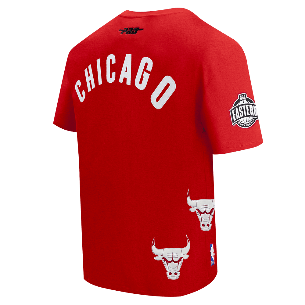 Pro Standard Chicago Bulls All Pro Wordmark T-Shirt – Red