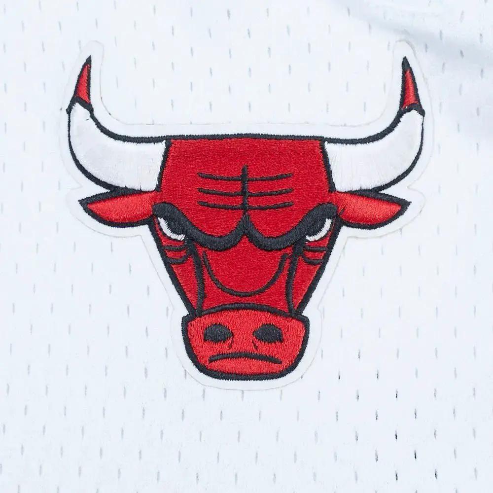 Pro Standard Chicago Bulls Letterman Pro Shorts by Pro Standard