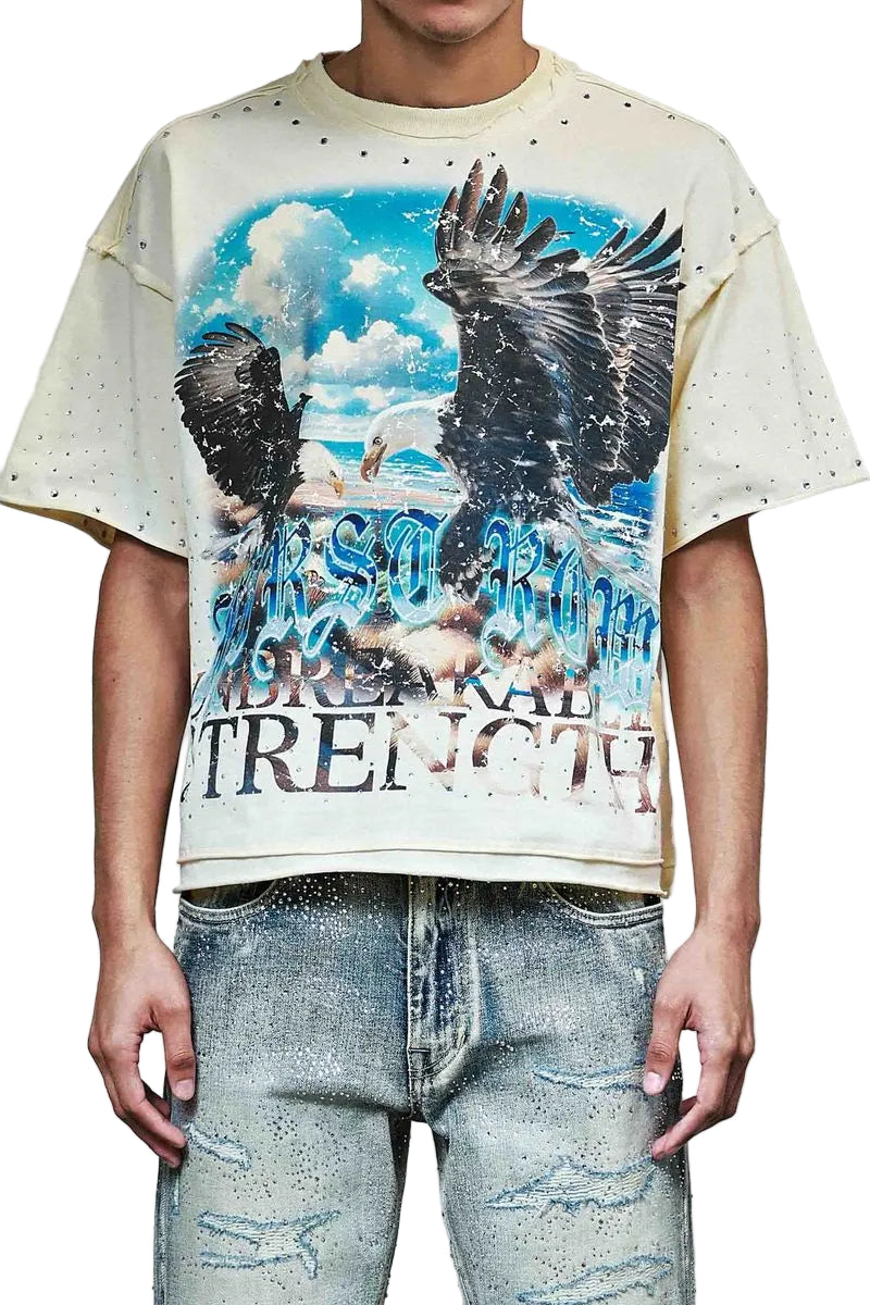 Person wearing a t-shirt with an eagle graphic and text on a plain background
