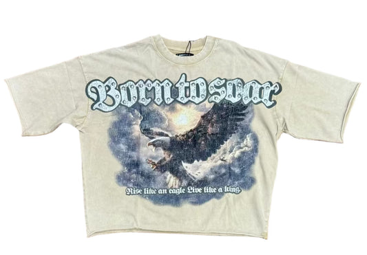 Roku Studio Born To Soar