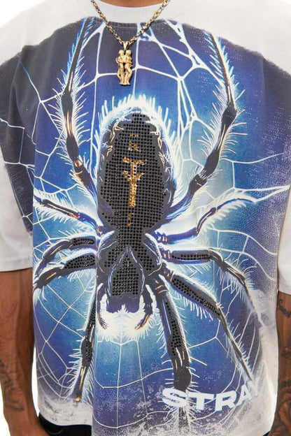 Stray Tarantula