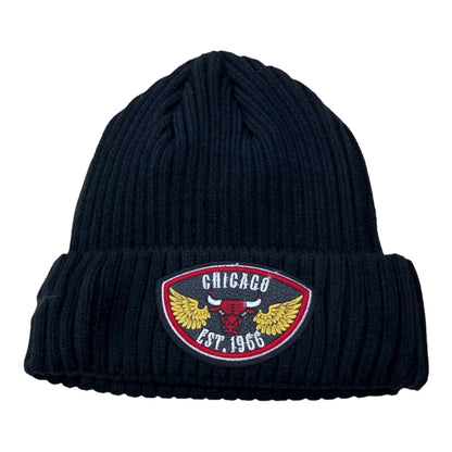 Pro Standard Chicago Bulls Born for Sport Pro Beanie