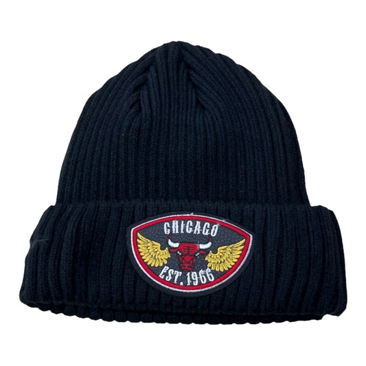 Pro Standard Chicago Bulls Born for Sport Pro Beanie