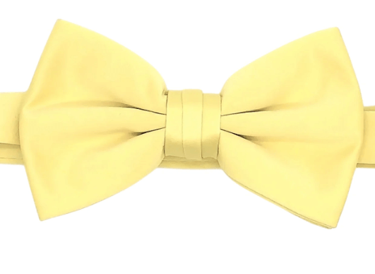 Stacy Adams Bowties