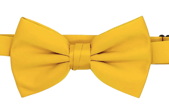 Stacy Adams Bowties