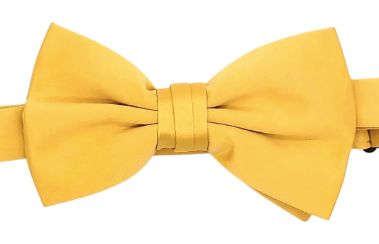 Stacy Adams Bowties