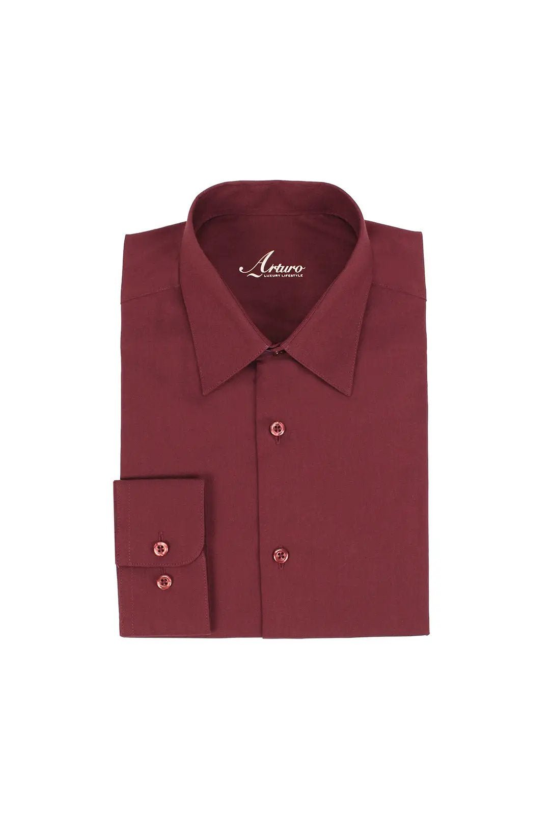 Arturo Modern Fit Dress Shirt