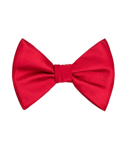 Brand Q Microfiber Butterfly Bow Tie & Hankie – BT2000