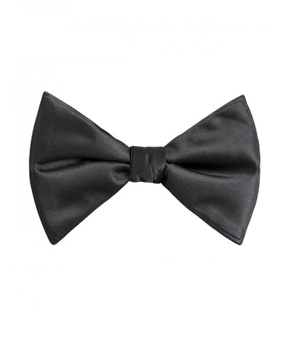 Brand Q Microfiber Butterfly Bow Tie & Hankie – BT2000