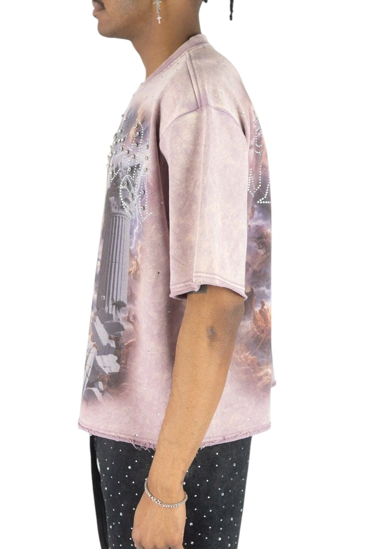 On Time Fashions Rebel Minds crop tee in mauve with sinister rhinestone graphic and heavy French terry fabric.