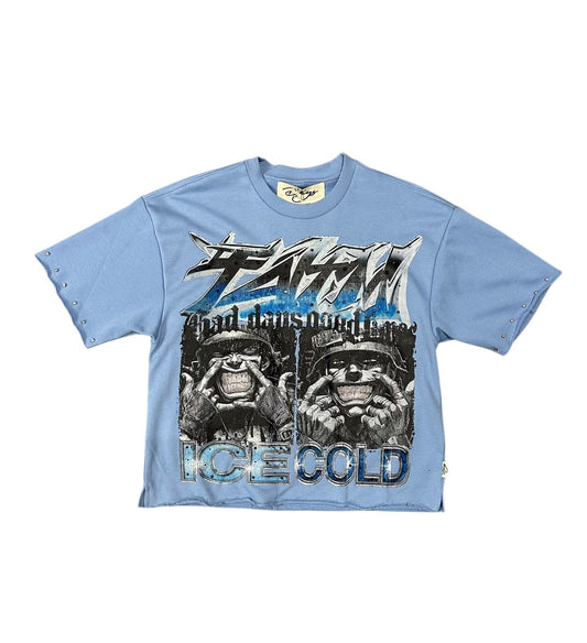 On Time Fashions light blue cropped tee with graphic print and rhinestone details on sleeves.