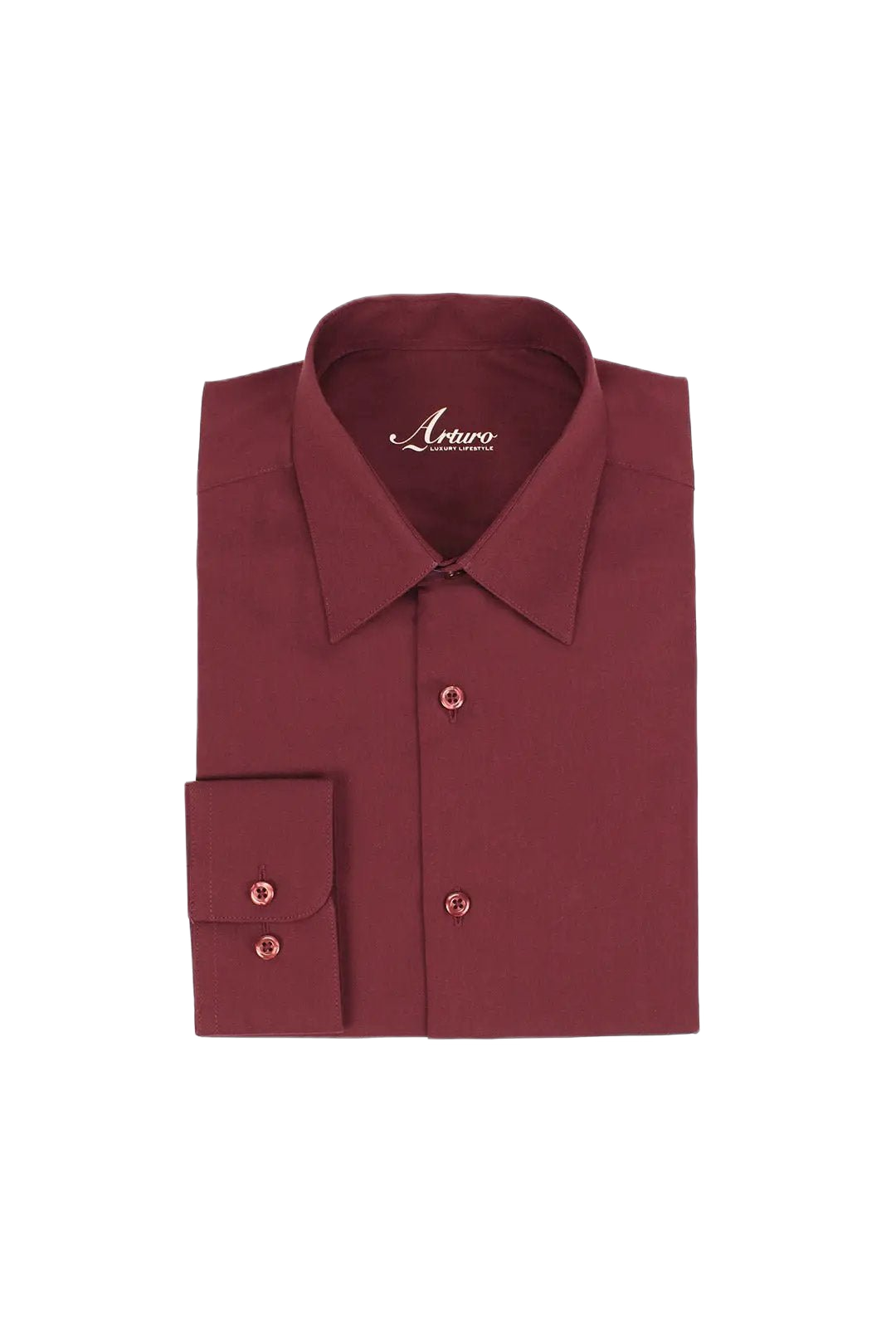 Arturo Modern Fit Dress Shirt