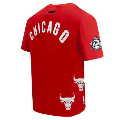 Pro Standard Chicago Bulls All Pro Wordmark T-Shirt – Red