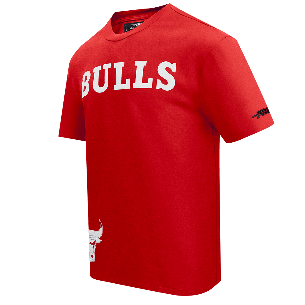 Pro Standard Chicago Bulls All Pro Wordmark T-Shirt – Red