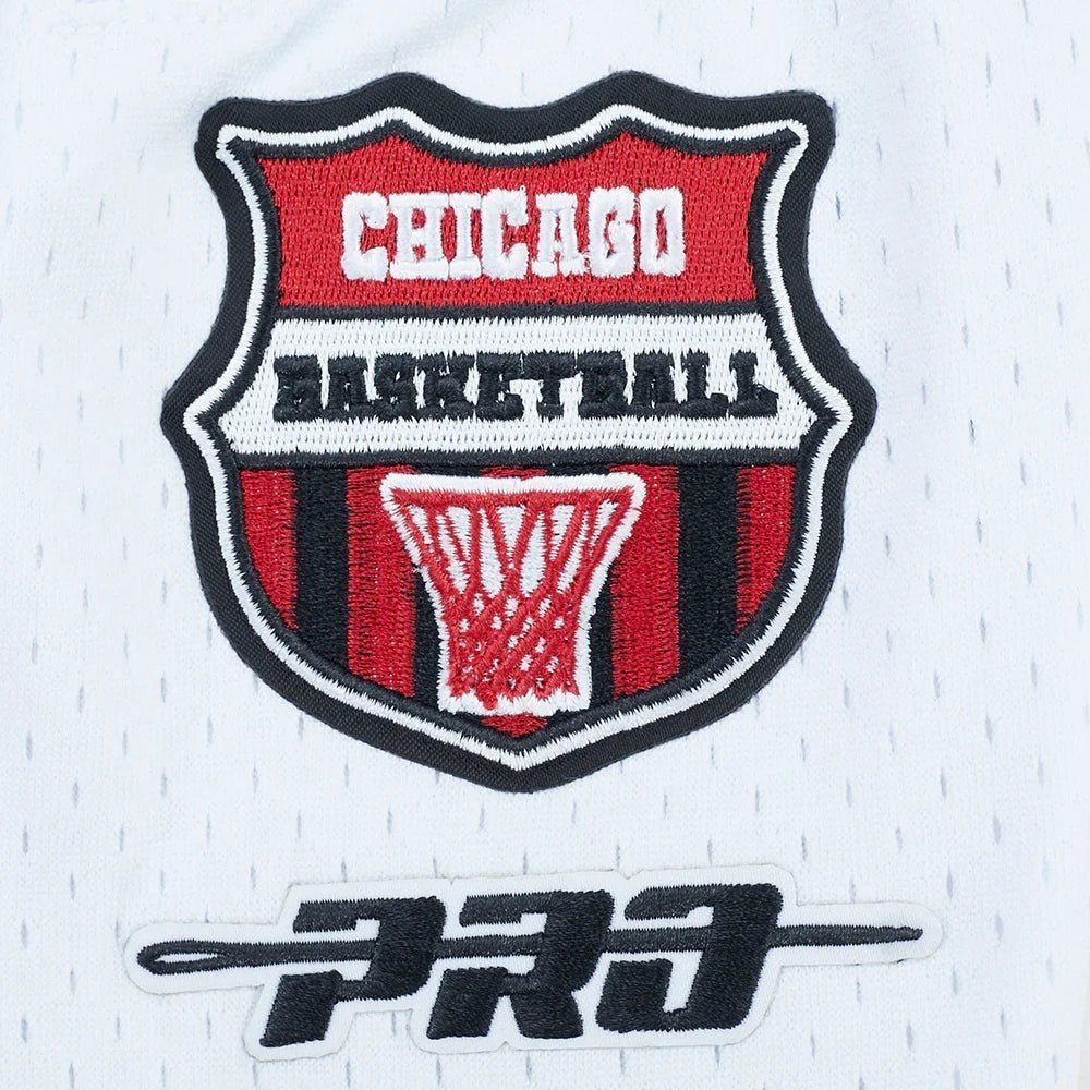Pro Standard Chicago Bulls Letterman Pro Shorts from On Time Fashions – shorts by Pro Standard, Birmingham AL’s 1 fashion store and premier destination for streetwear, suits, kids fashion, and big & tall