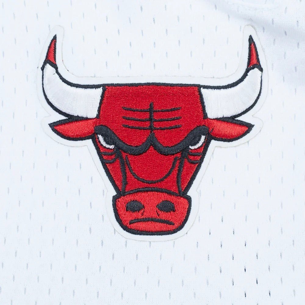 Pro Standard Chicago Bulls Letterman Pro Shorts from On Time Fashions – shorts by Pro Standard, Birmingham AL’s 1 fashion store and premier destination for streetwear, suits, kids fashion, and big & tall
