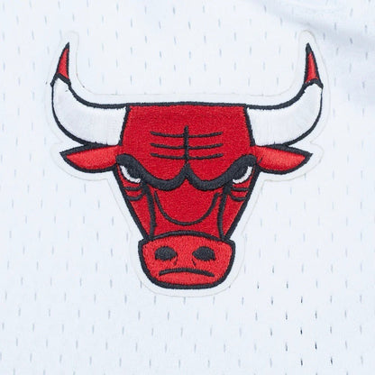 Pro Standard Chicago Bulls Letterman Pro Shorts from On Time Fashions – shorts by Pro Standard, Birmingham AL’s 1 fashion store and premier destination for streetwear, suits, kids fashion, and big & tall