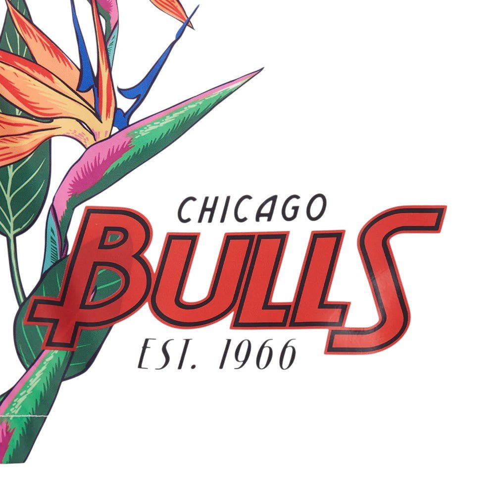 Pro Standard Chicago Bulls Paradise Woven Shorts from On Time Fashions – Shorts by Pro Standard, Birmingham AL’s 1 fashion store and premier destination for streetwear, suits, kids fashion, and big & tall